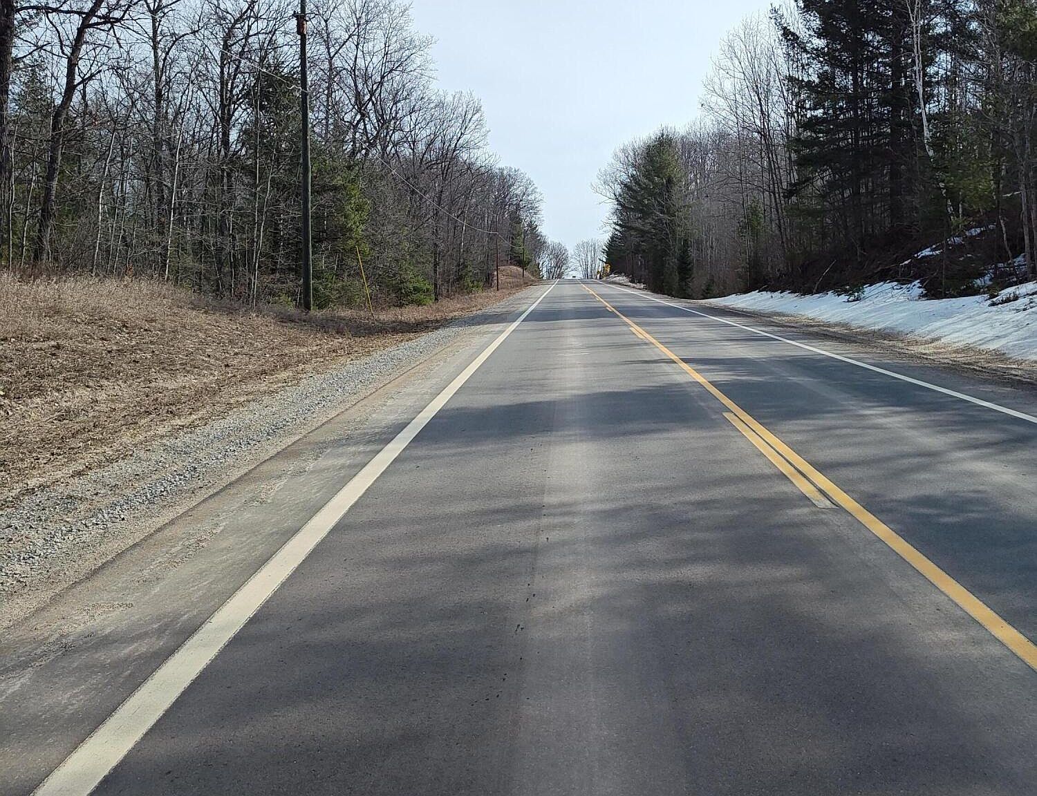 9383 County Road 487 Atlanta, MI 49709  | New build