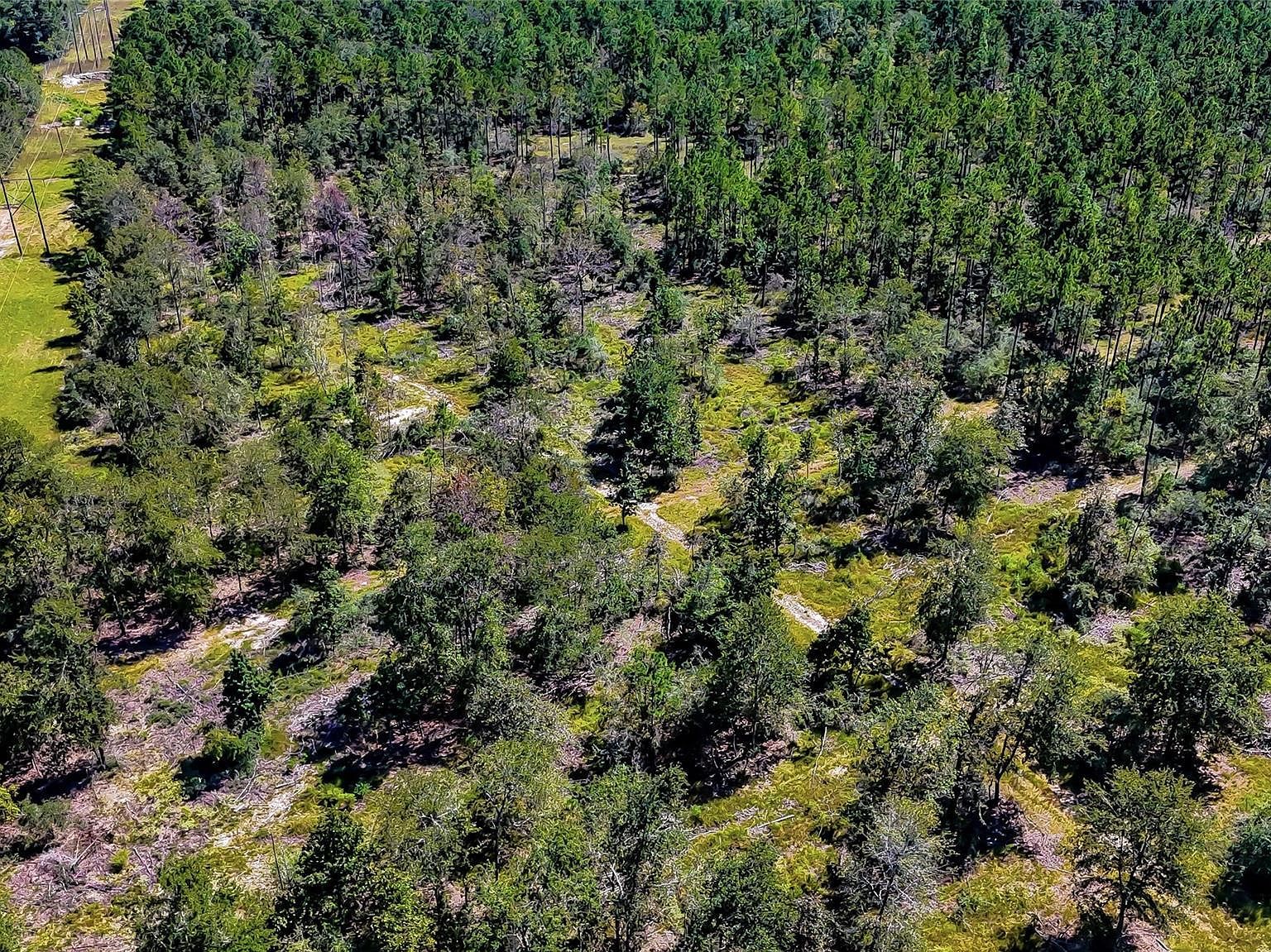 287 Tbd Hwy Corrigan, TX 75939 | Land/Lot