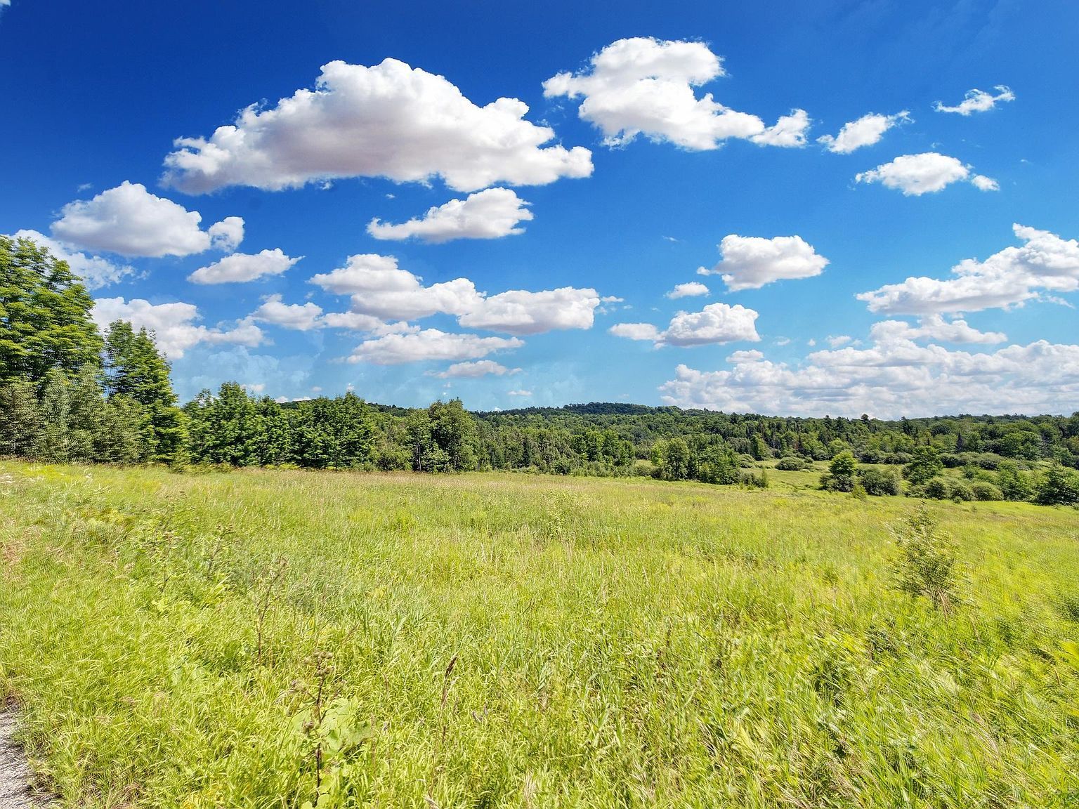 0 Hinman Settler Rd Derby, VT 05829 | Land/Lot