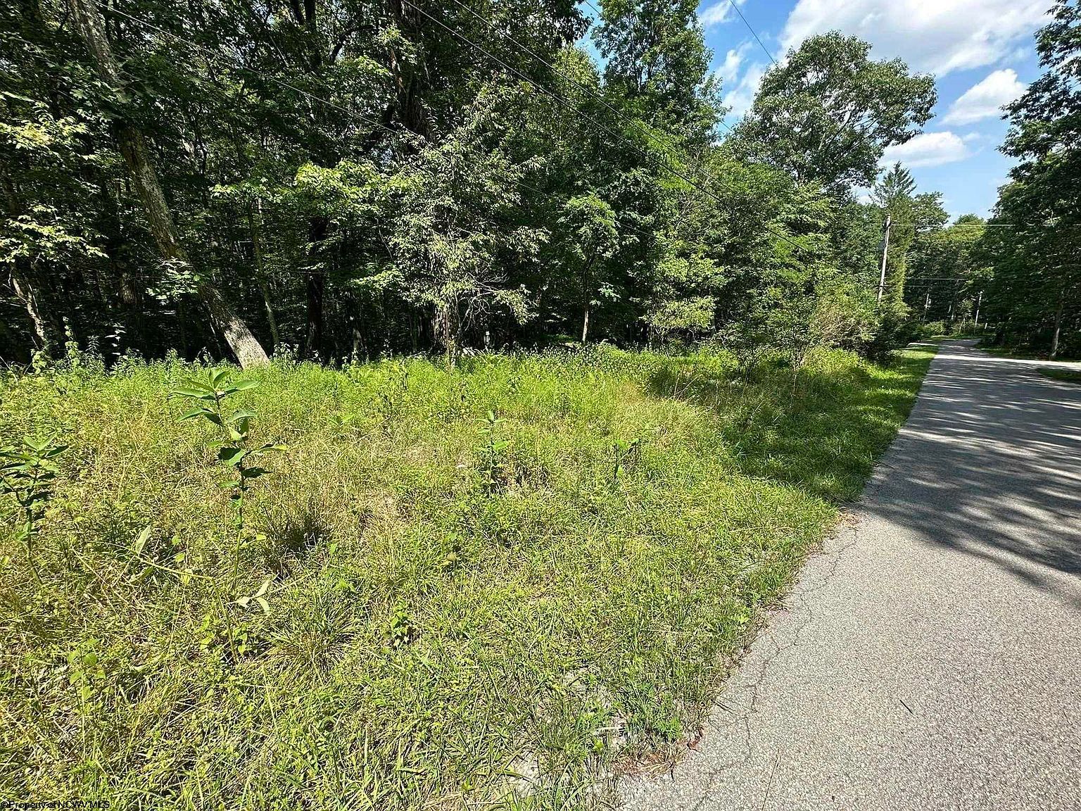 106 & 107 Lakeview Dr Terra Alta, WV 26764 | Land/Lot