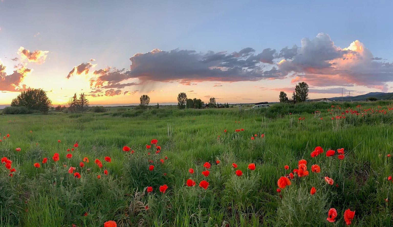 1745 Crooked Creek Rd Alta, WY 83414 | Land/Lot