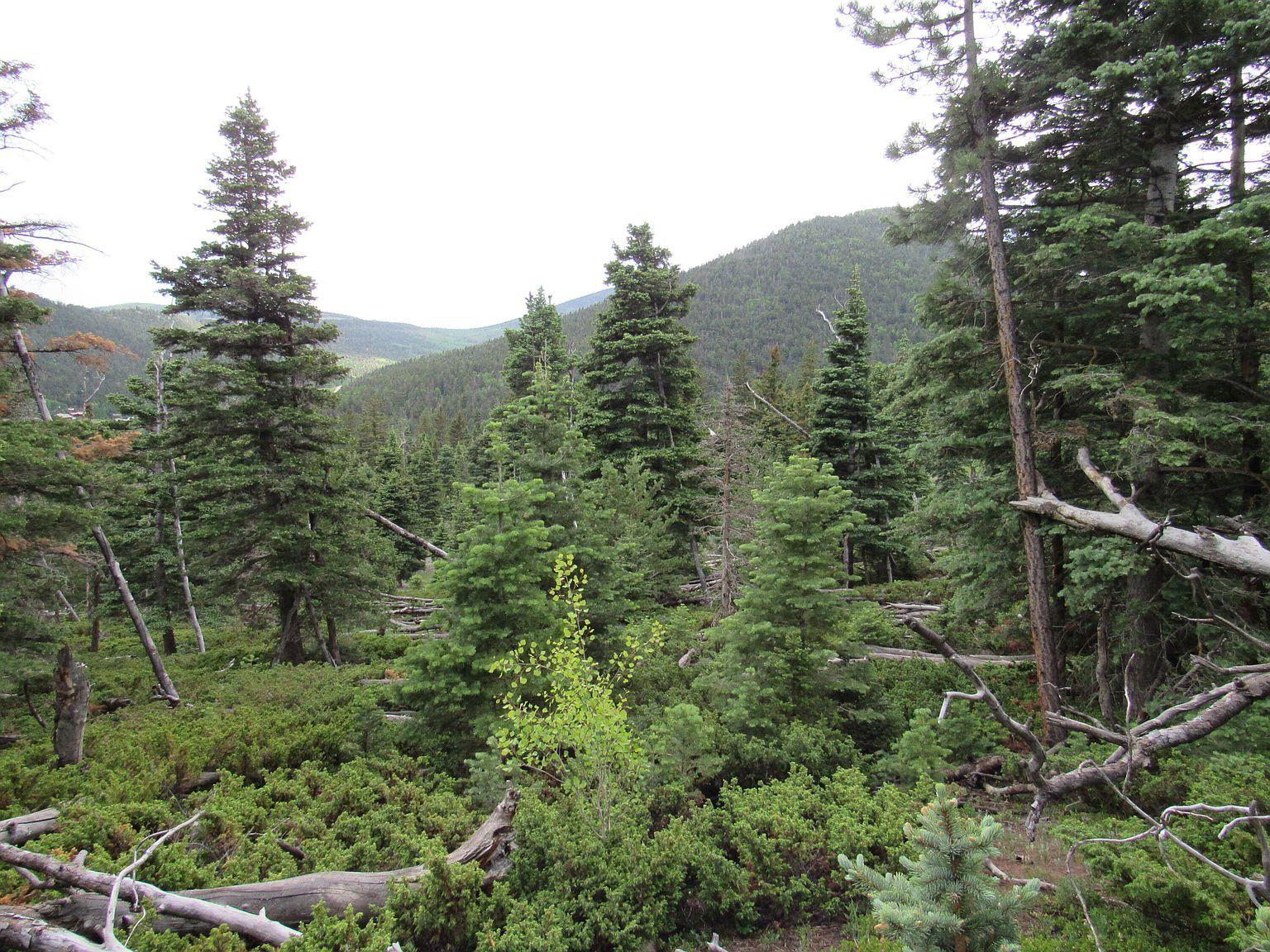 Valley Rd LOT 103 La Veta, CO 81055 | Land/Lot