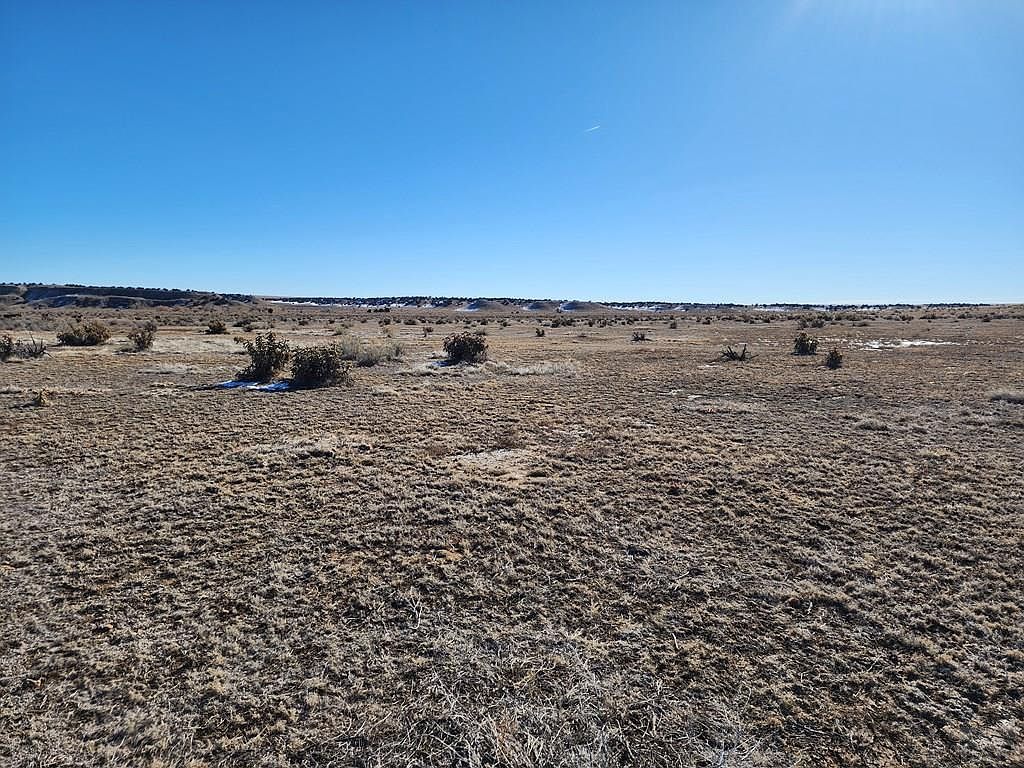 Las Animas Ranches #40AC Model, CO 81059  | Land/Lot