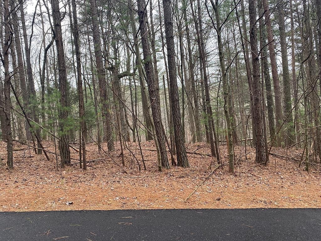 LOT-38R Lakeview Ter Ellijay, GA 30536 | Land/Lot