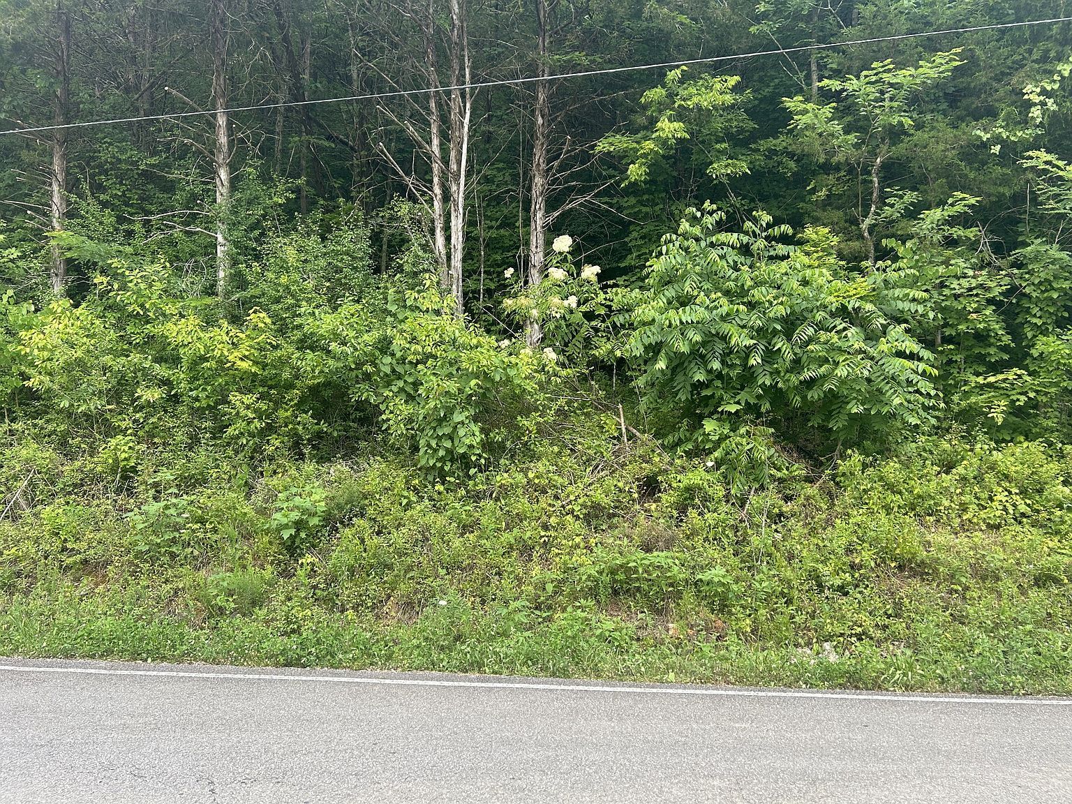 3400 Sycamore Creek Rd Woodbury, TN 37190  | Land/Lot