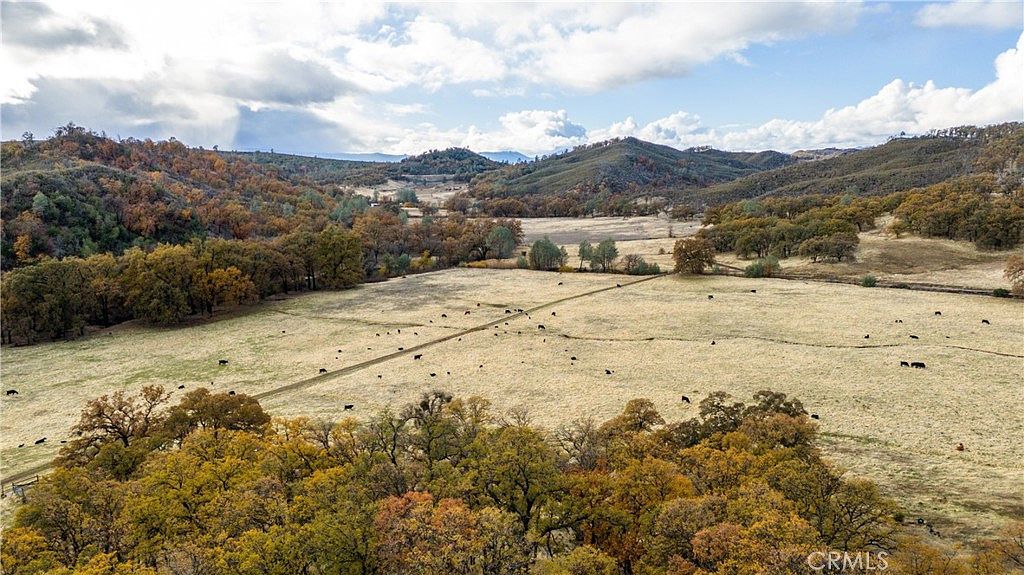 11158 Rocky Creek Rd Lower Lake, CA 95457  | Land/Lot