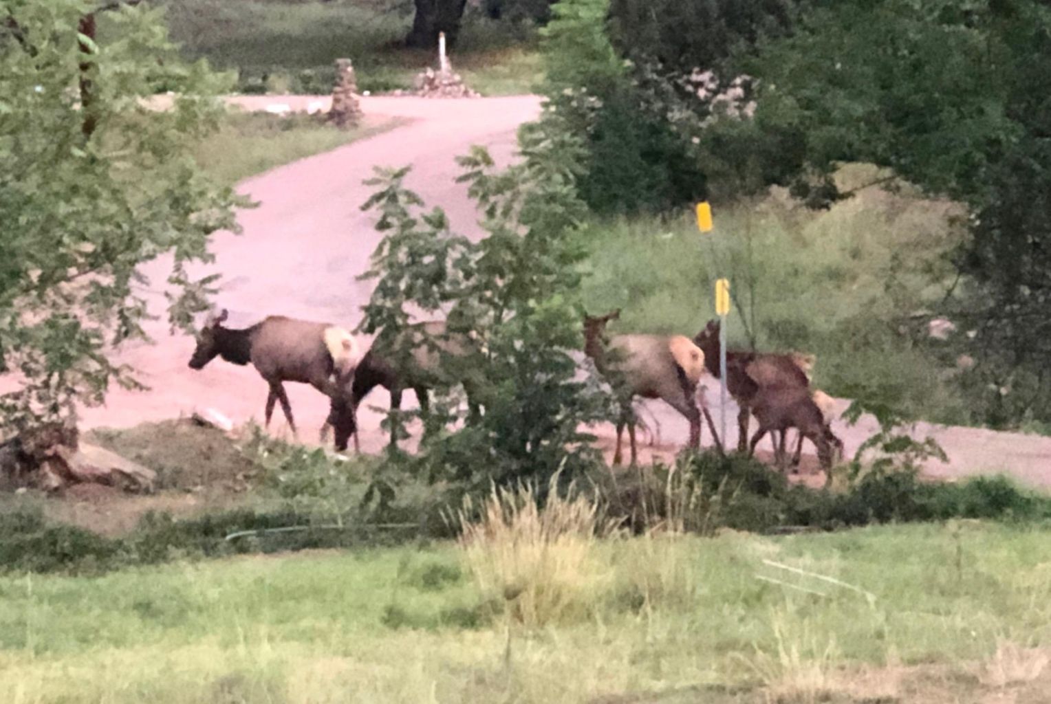 3652 N Cemetery Road, Pine, AZ 85544  | Mobile Home