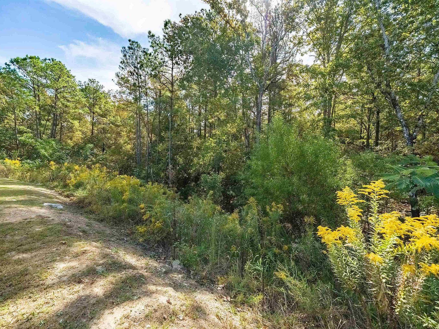 253 Stonebriar Dr Calera, AL 35040 | Single Family