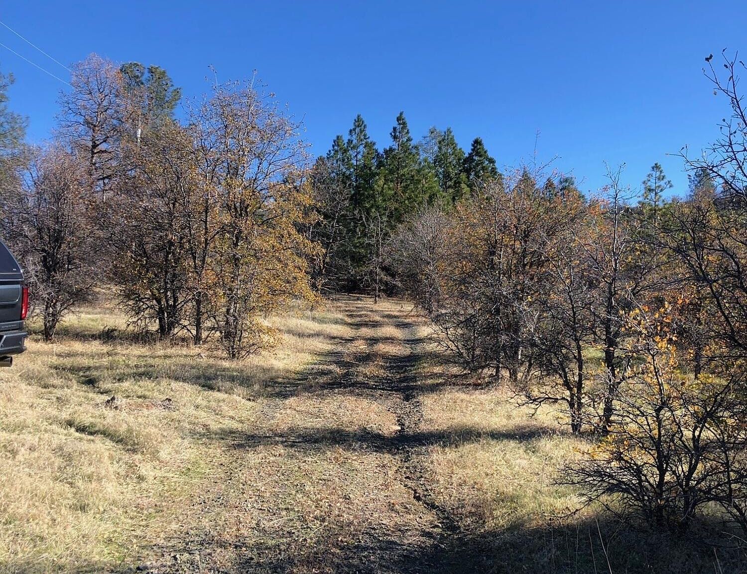 17759 Patterson Ranch Rd Round Mountain, CA 96084 | Land/Lot