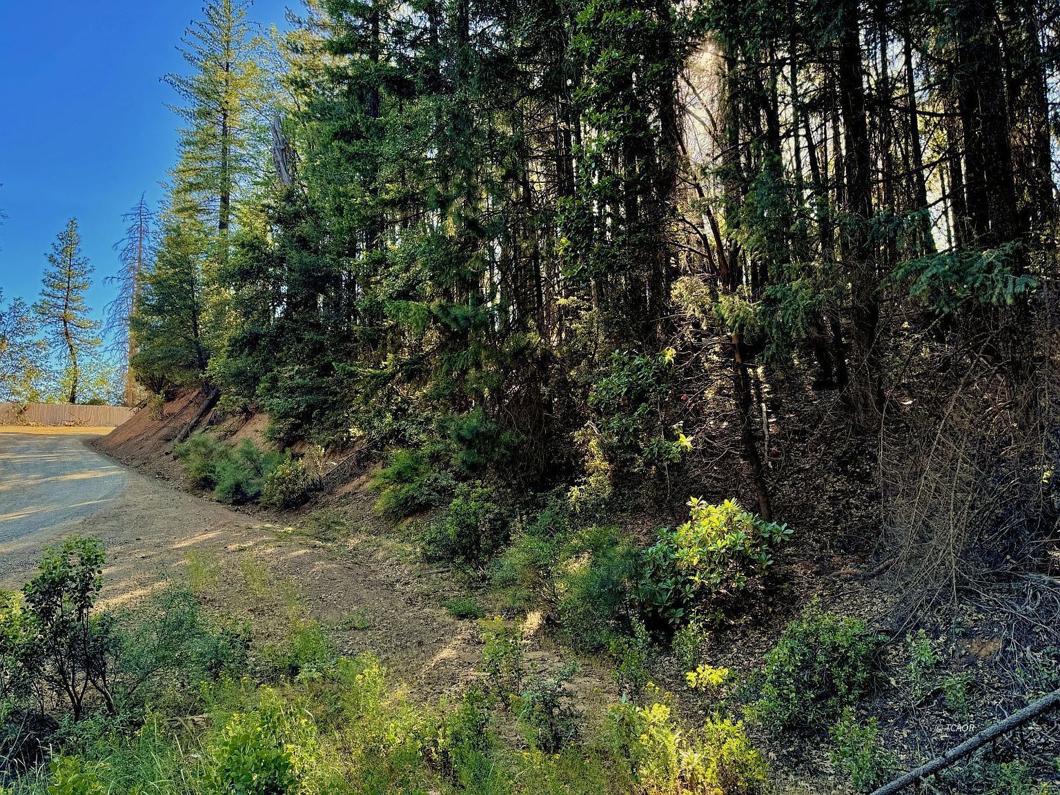2050 Westridge Rd Hayfork, CA 96041  | Land/Lot