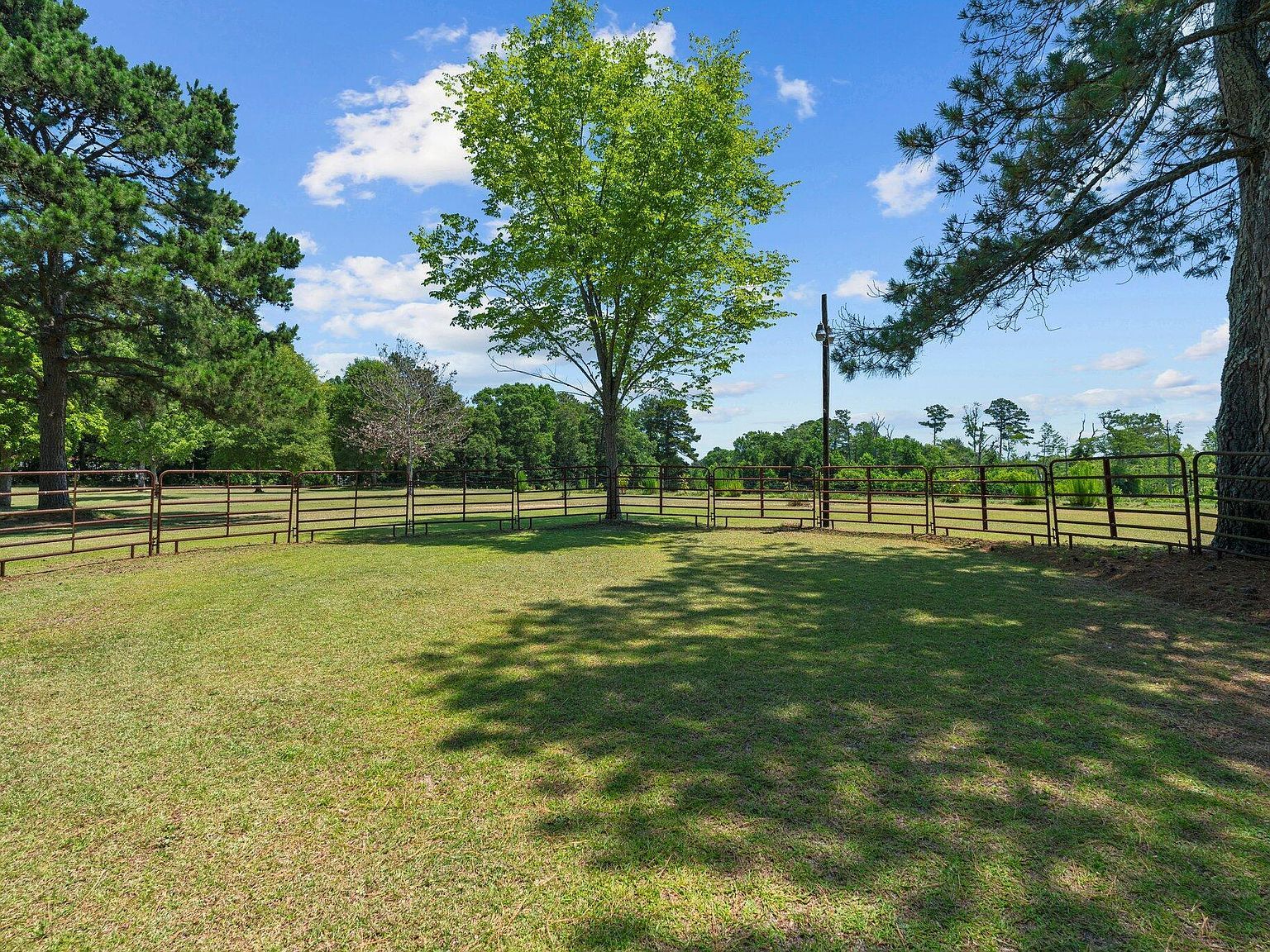 113 Amelia Ln Holly Springs, NC 27540  | Single Family