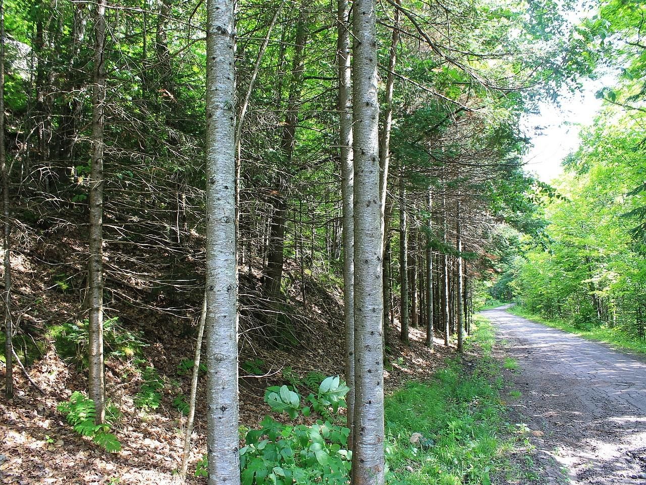 Outlot 1 Skye Dr Upson, WI 54565  | Land/Lot