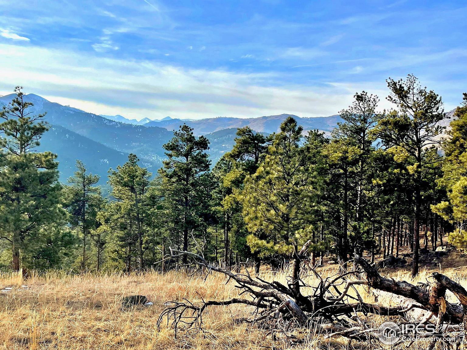 2050 Fourmile Canyon Dr, Boulder, CO, 80302 | Land/Lot