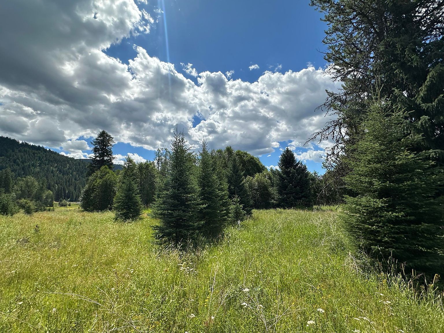 3331 Deep Lake Boundary Rd Colville, WA 99114  | Land/Lot