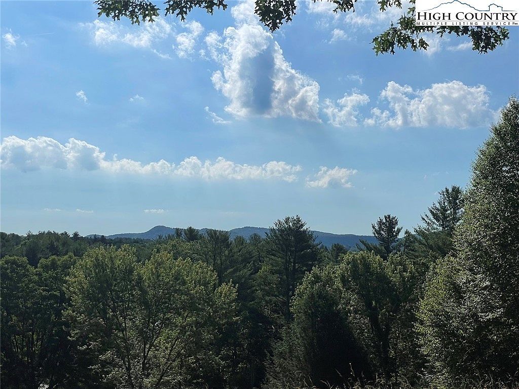 Tbd Highway 221 S Fleetwood, NC 28626  | Land/Lot