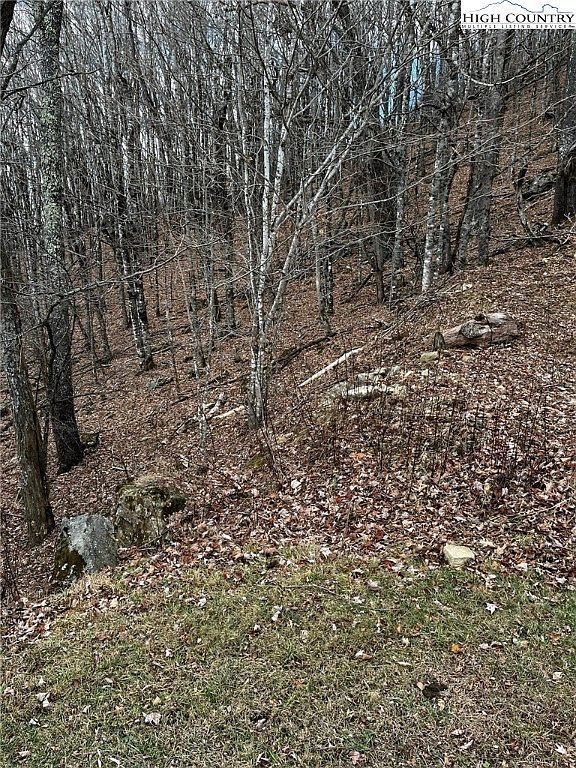 LOT 18 Wakeman Way Banner Elk, NC 28604  | Land/Lot