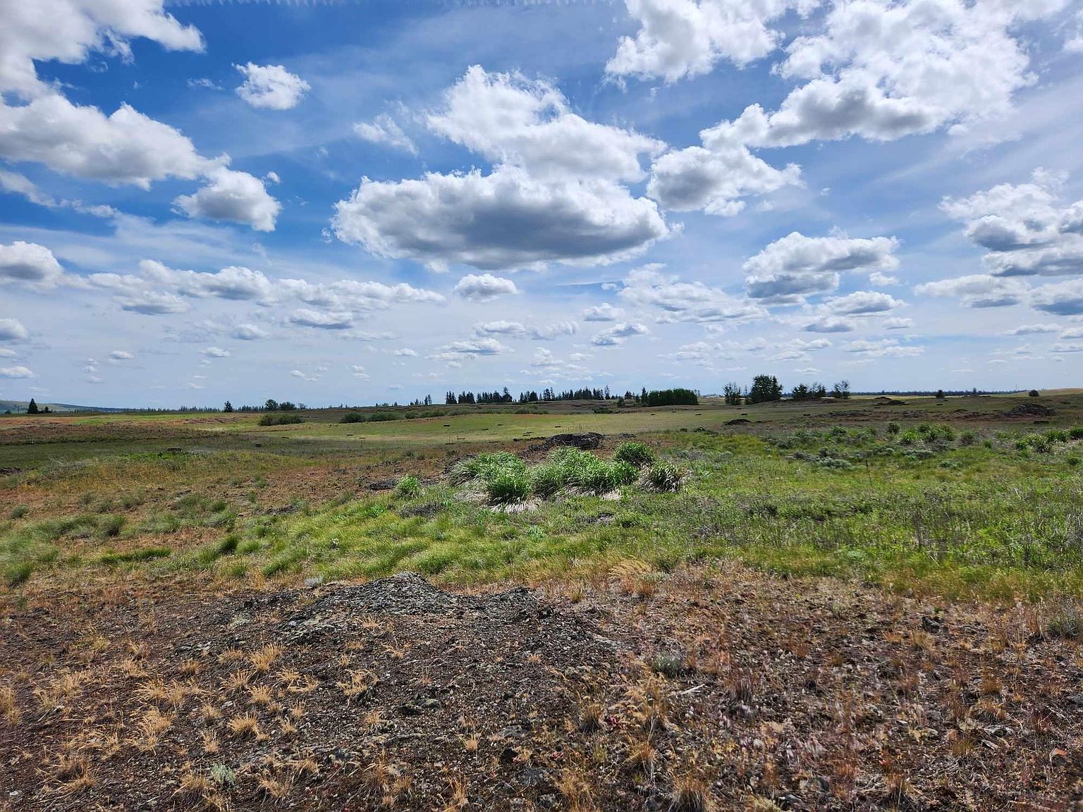 26210 W Hallett Rd Medical Lake, WA 99022 | Land/Lot