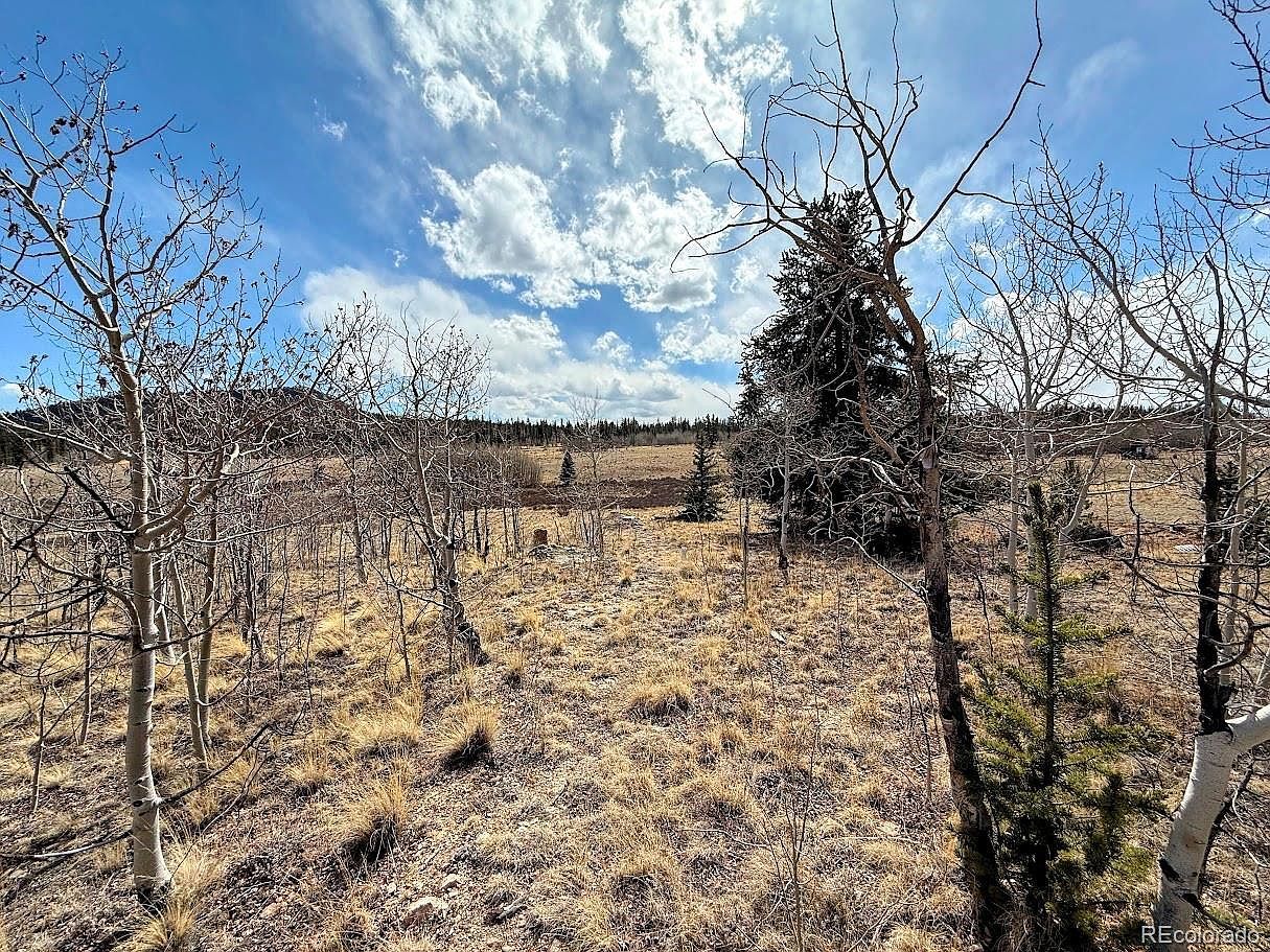 1238 Overland Cir Como, CO 80456 | Land/Lot