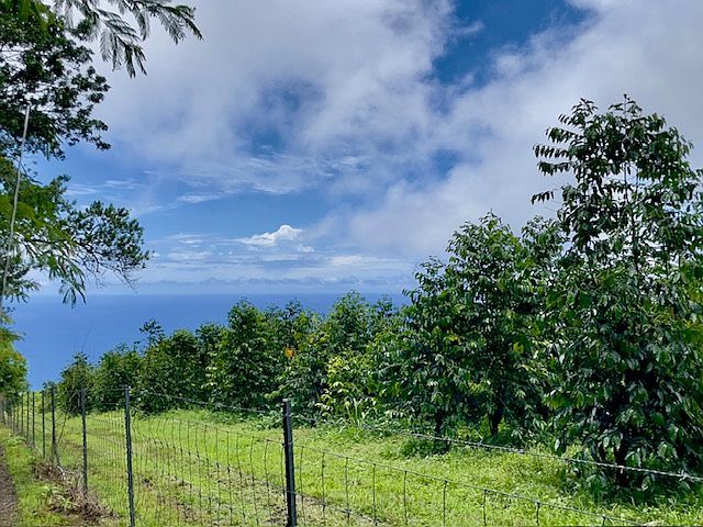 87-1081 Haleili Rd Captain Cook, HI 96704  | Land/Lot