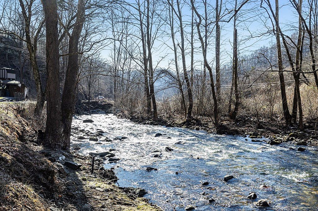 Hunter Dr Saltville, VA 24370 | Land/Lot