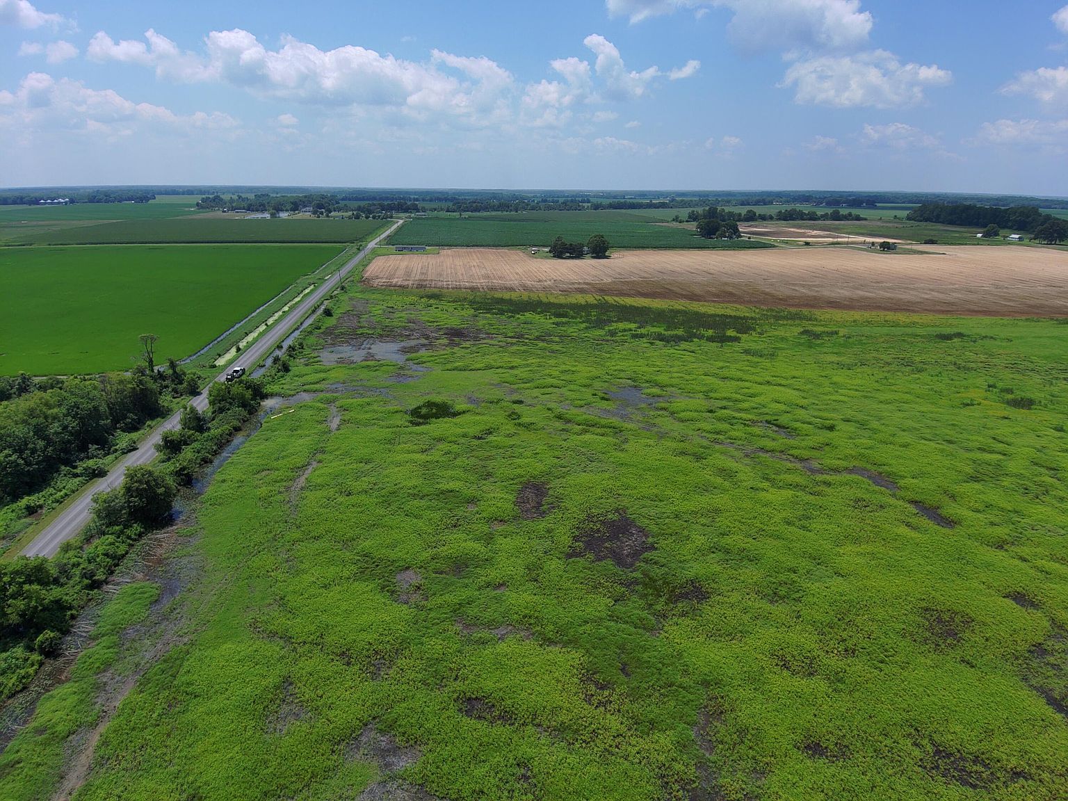 Highway 165 Humnoke, AR 72072  | Land/Lot