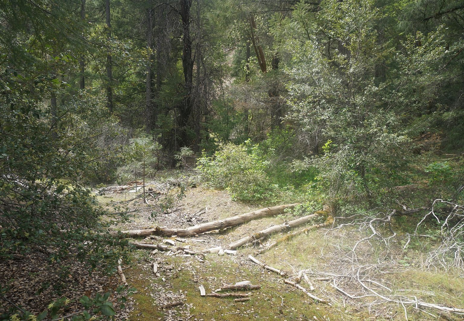 6269 Dutch Creek Rd Junction City, CA 96048  | Land/Lot