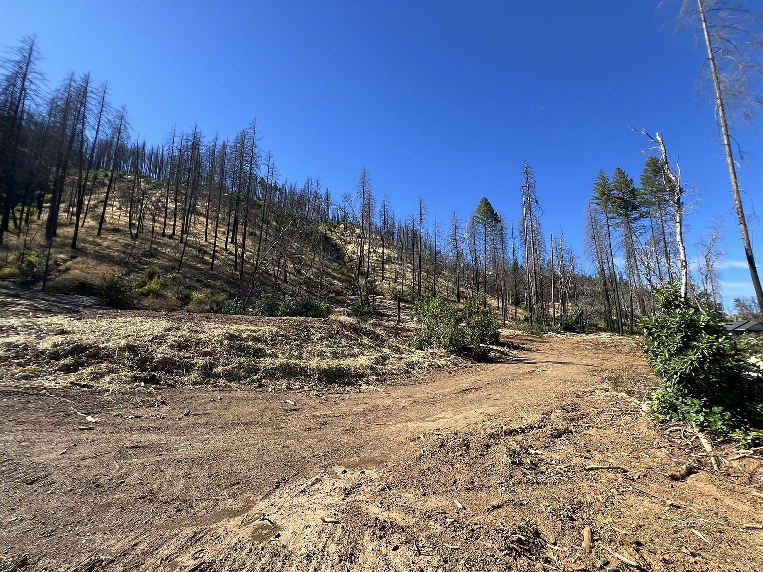 518 Dutch Creek Rd Junction City, CA 96048  | Land/Lot