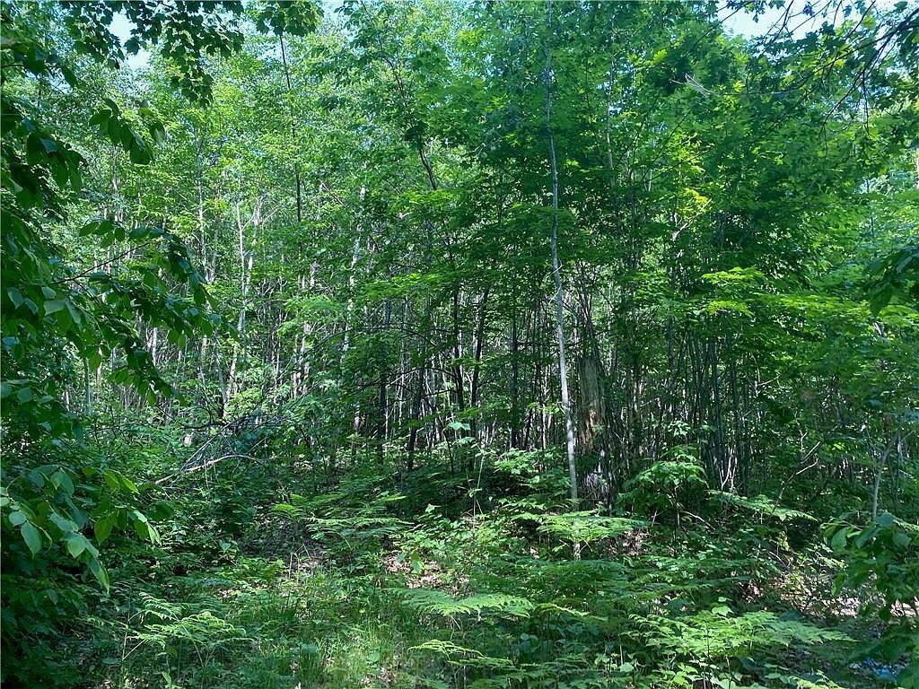 LOT 7 N Secluded Trl Hayward, WI 54843  | Land/Lot