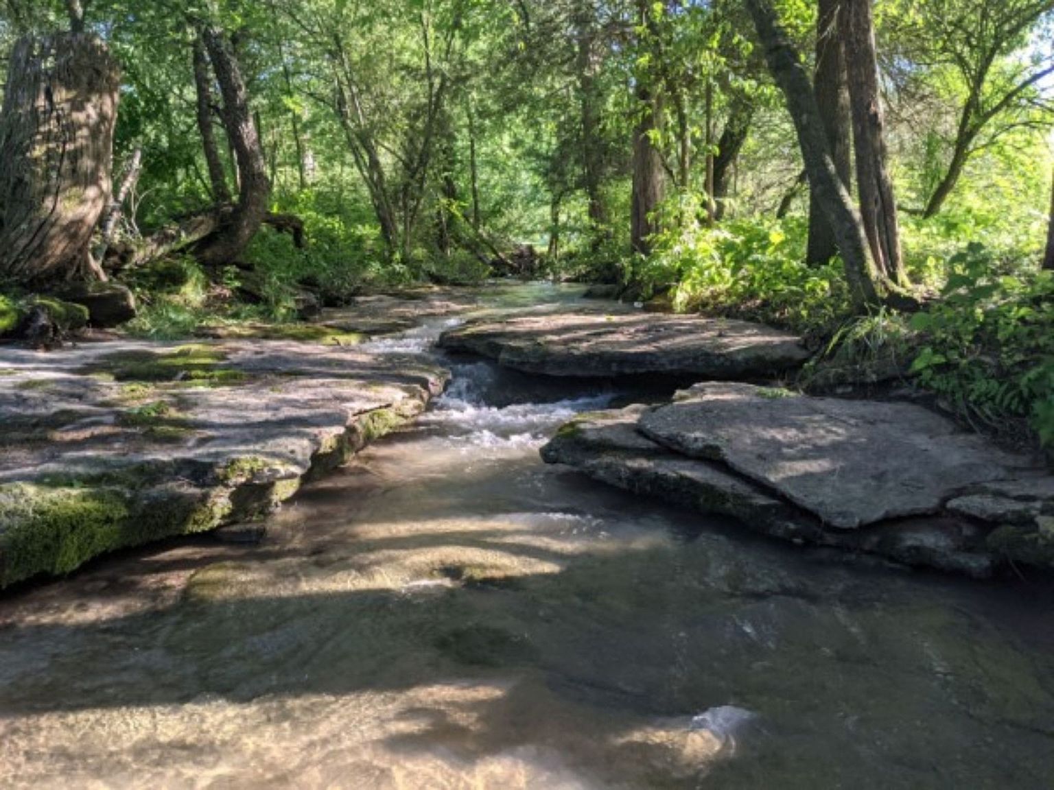 0 Cothran Rd Columbia, TN 38401  | Land/Lot