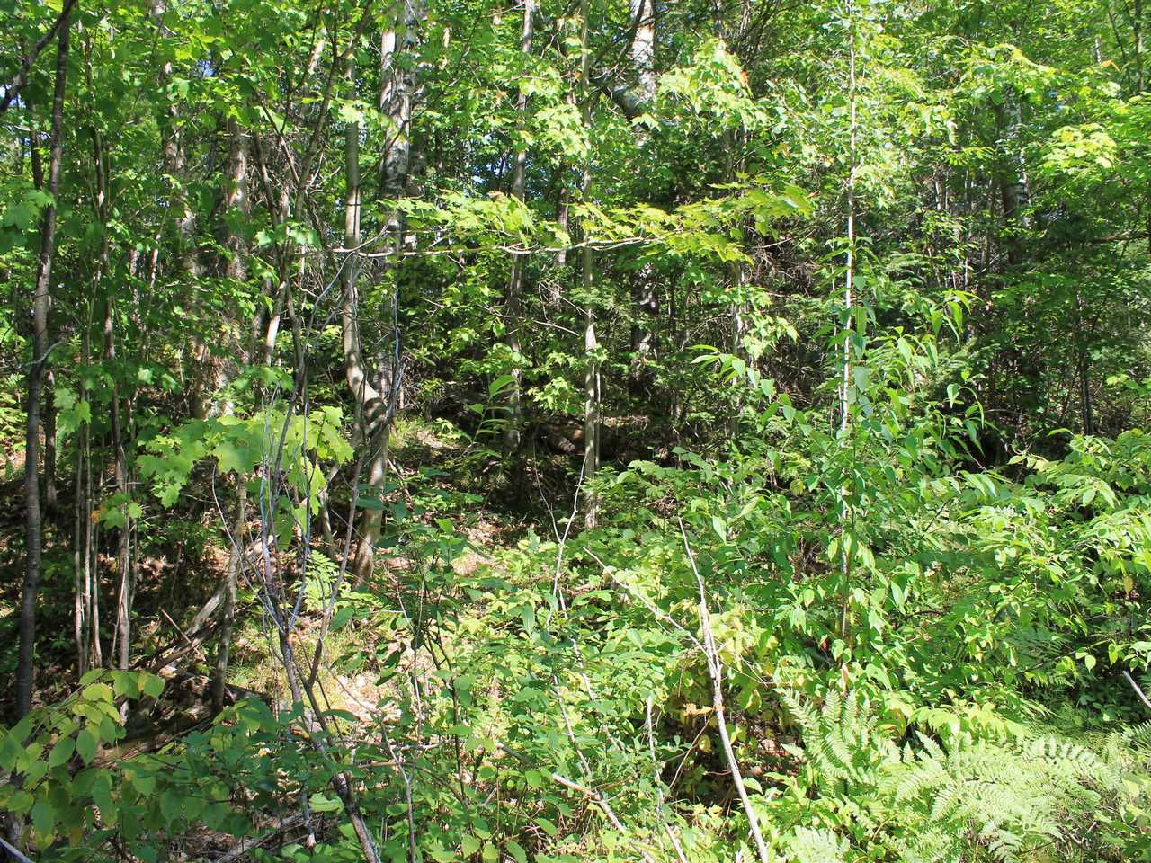 Lot 16 - North Alpine Drive, Upson, WI, USA, 54565  | Land/Lot