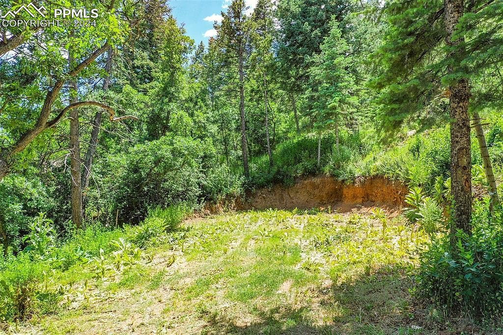 0 Pine Ln Colorado Springs, CO 80906 | Land/Lot