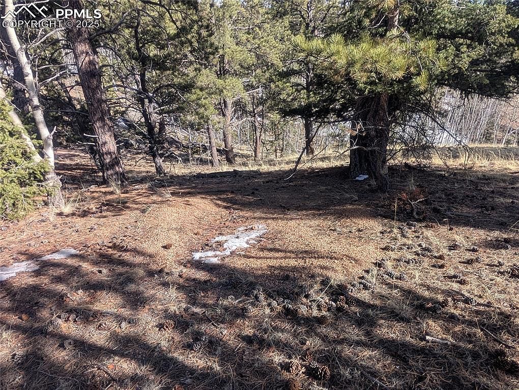 56 Rampart Cir Florissant, CO 80816  | Land/Lot