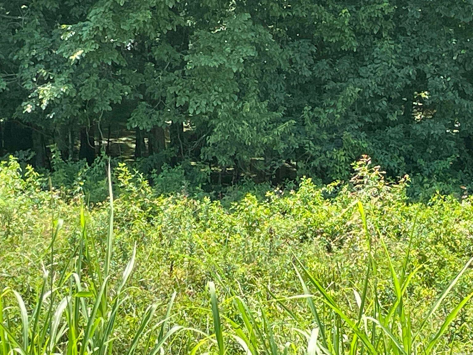 0 Wilbur D Mills Rd Tichnor, AR 72166 | Land/Lot