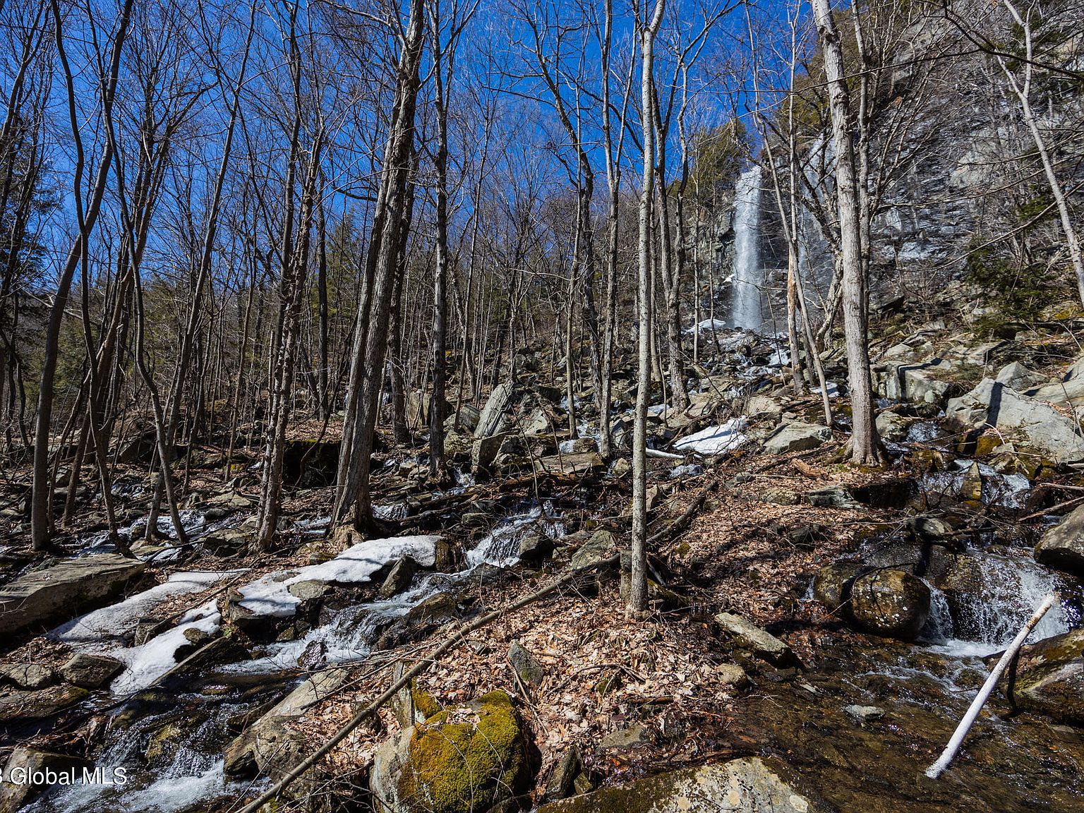 41 Rattle Snake Way Clemons, NY 12819  | Single Family