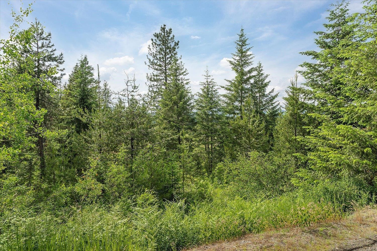 5185 Camden Rd Newport, WA 99156  | Land/Lot