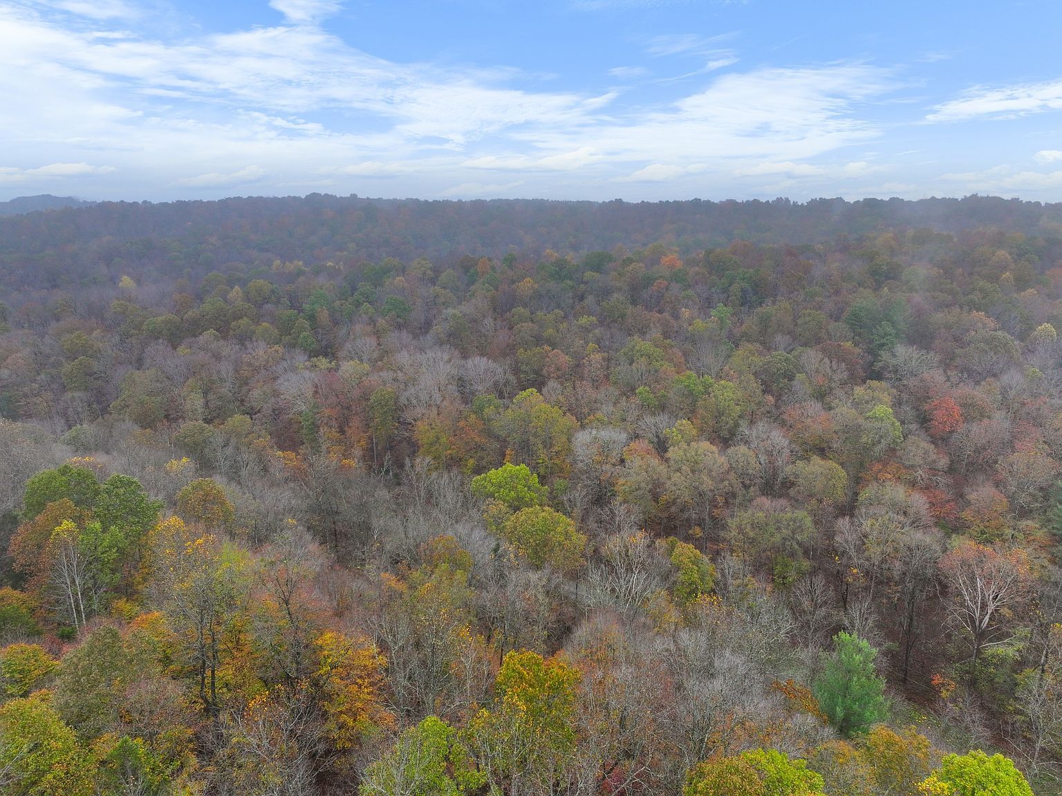 0 Baggett Hollow Rd Cunningham, TN 37052  | Land/Lot