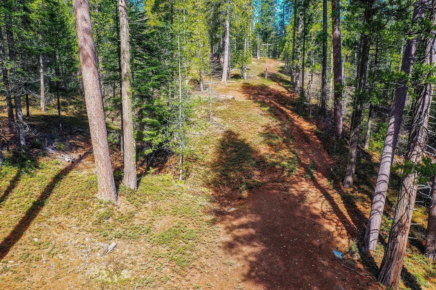 3488 Moran Rd #3184 Avery, CA 95224 | Land/Lot