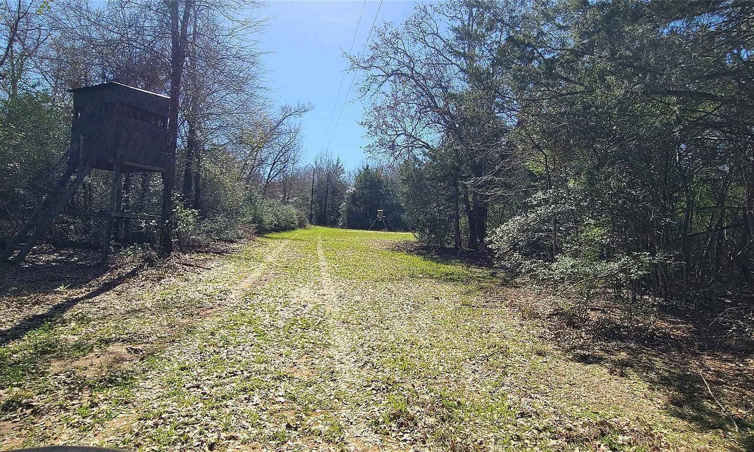 9628 Fm 2446 Franklin, TX 77856  | Land/Lot