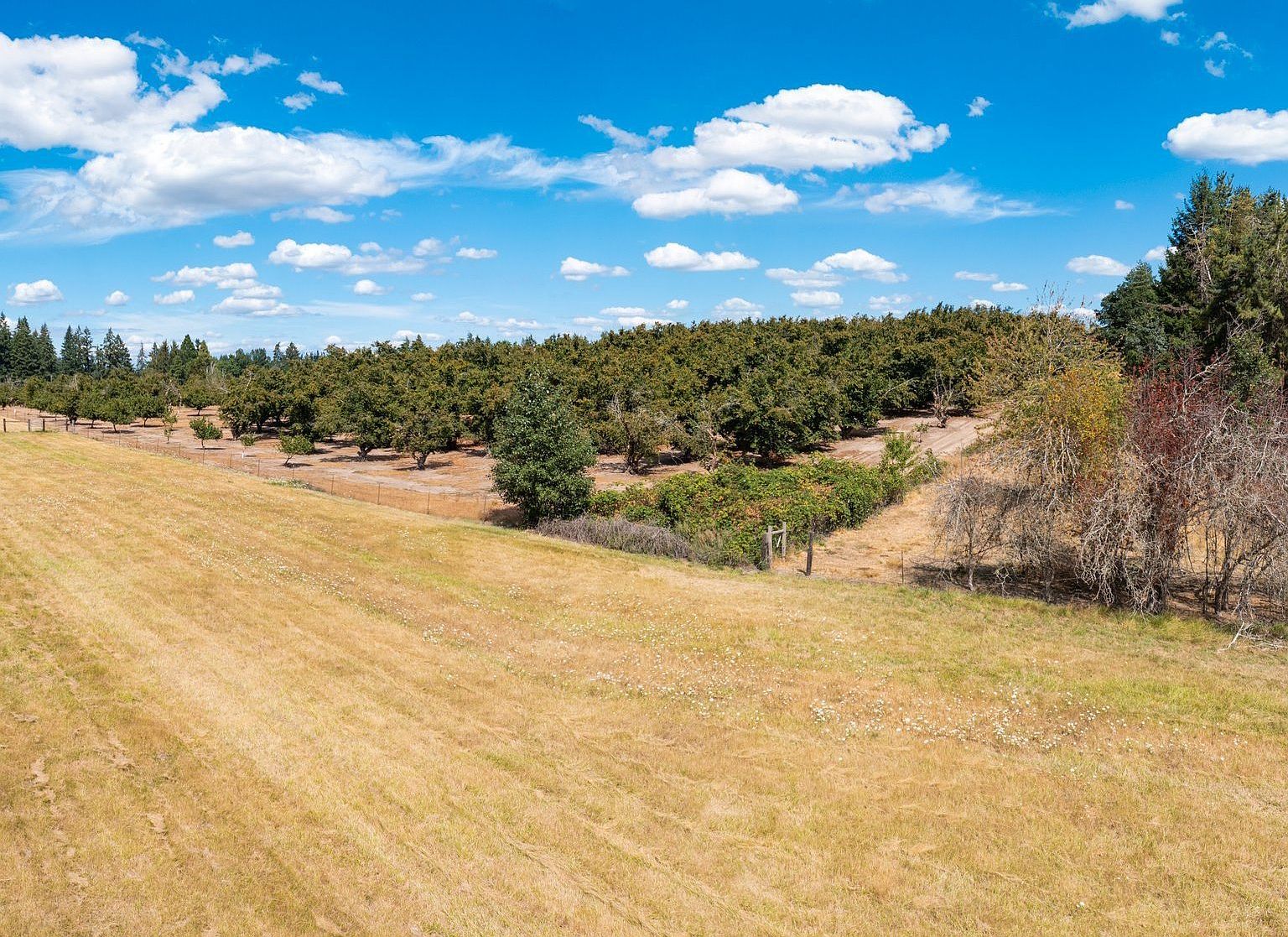Bell And Baker Rd Sherwood, OR 97140  | Land/Lot