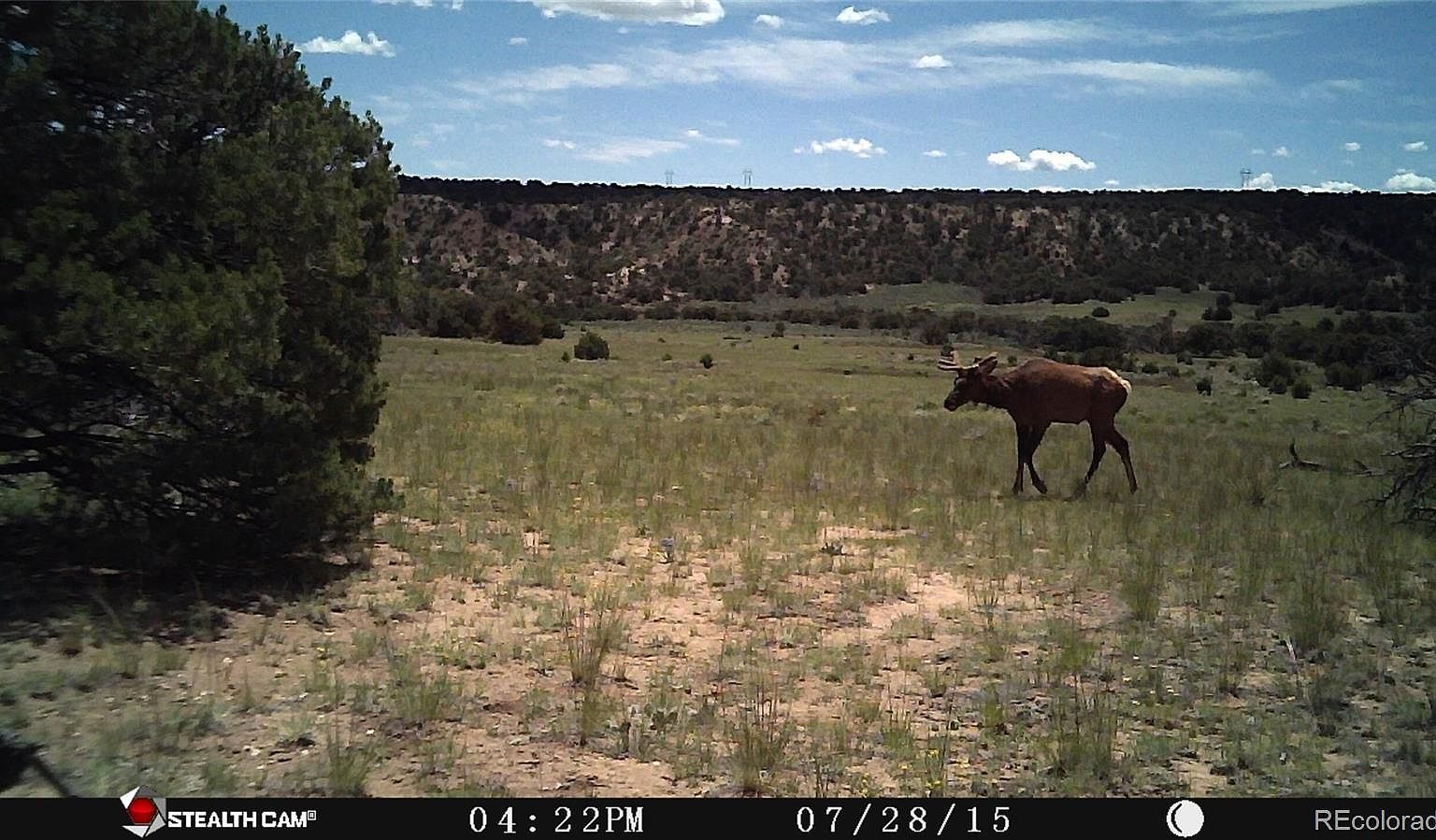 26 Cl&g #BB Gardner, CO 81040  | Land/Lot