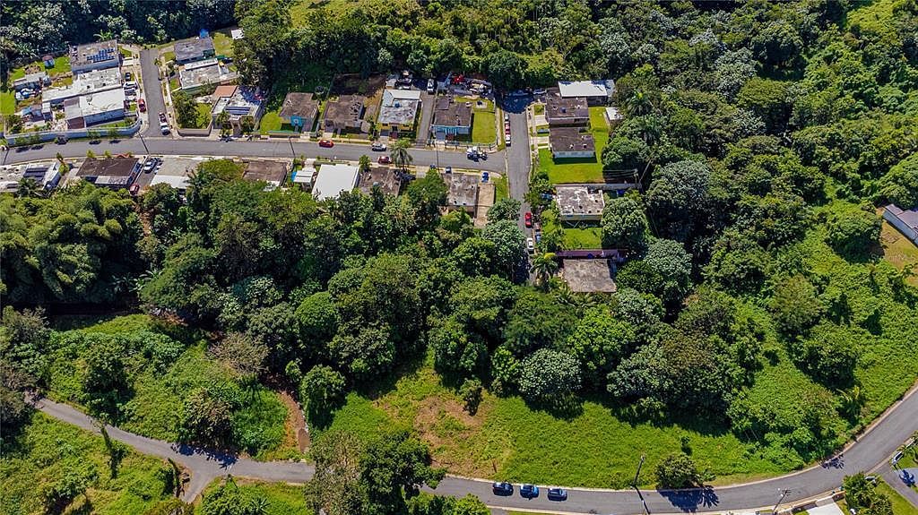 Urb Reparto Leon Bo Quebrada Cruz Toa Alta, PR 00953  | Land/Lot