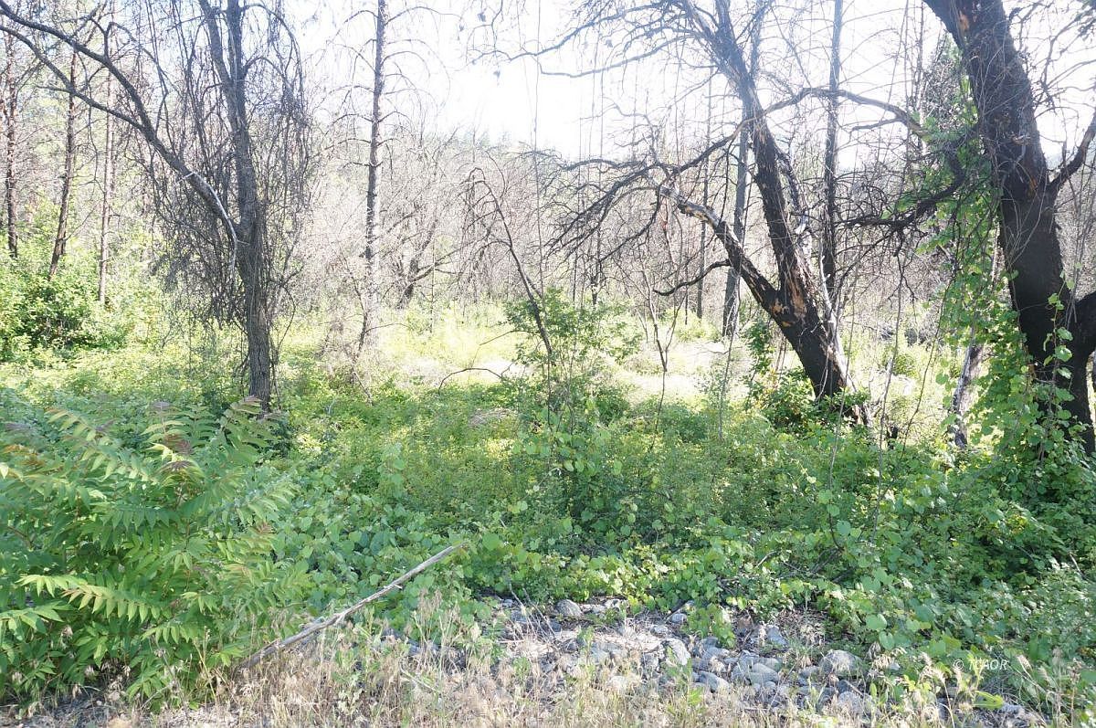 101 River Acres Rd Junction City, CA 96048  | Land/Lot