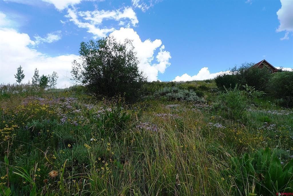 60 Zeligman St Crested Butte, CO 81224  | Land/Lot