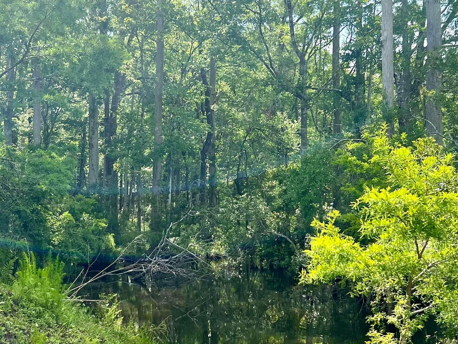 Vacant Woods Creek Rd Perry, FL 32347  | Land/Lot