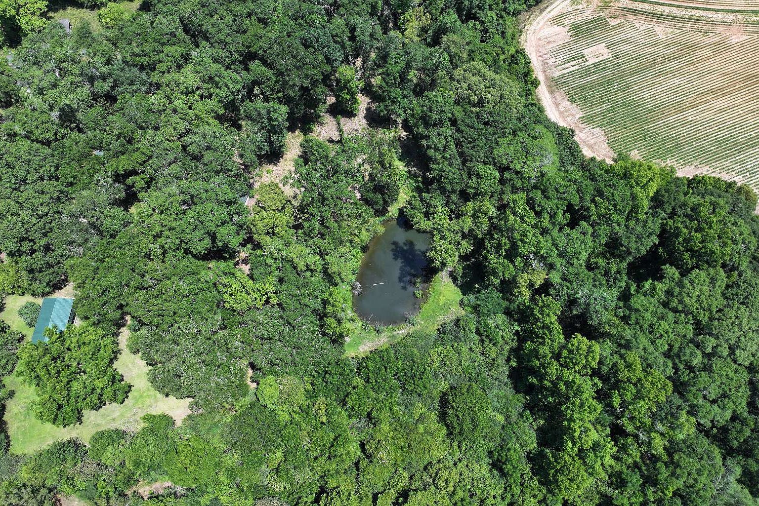 8th Ave Graceville, FL 32440  | Land/Lot