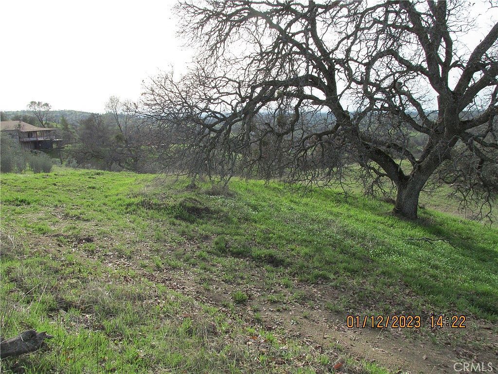 39854 Lilley Mountain Dr #1582 Coarsegold, CA 93614  | Land/Lot