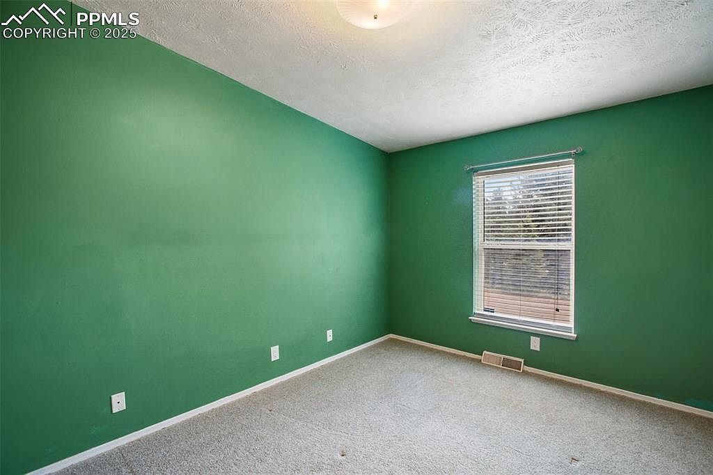 1011 W Bison Creek Trl Divide, CO 80814 | New build