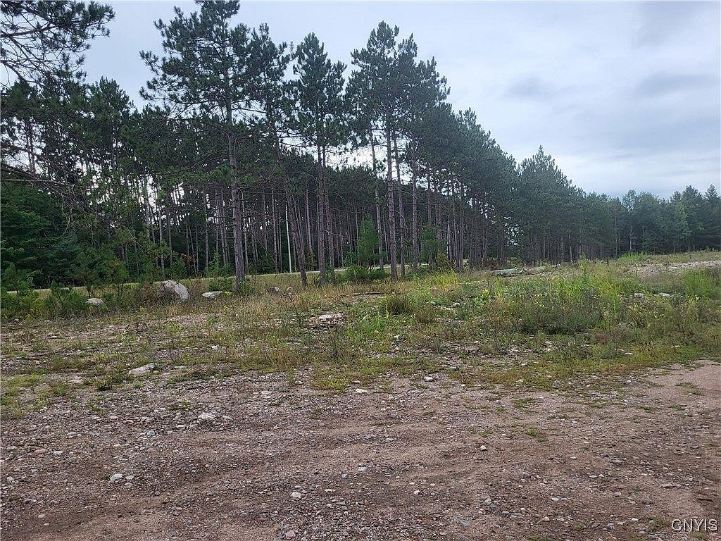 2321 State Route 3 #35 Fine, NY 13639  | Land/Lot