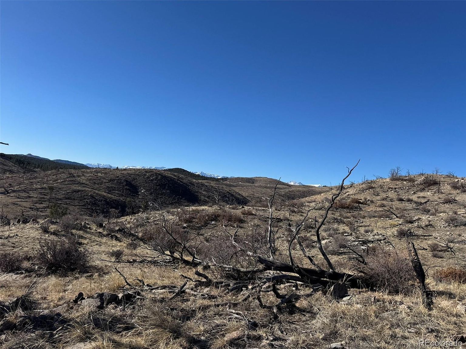 F Path And 37th Trl Cotopaxi, CO 81223 | Land/Lot
