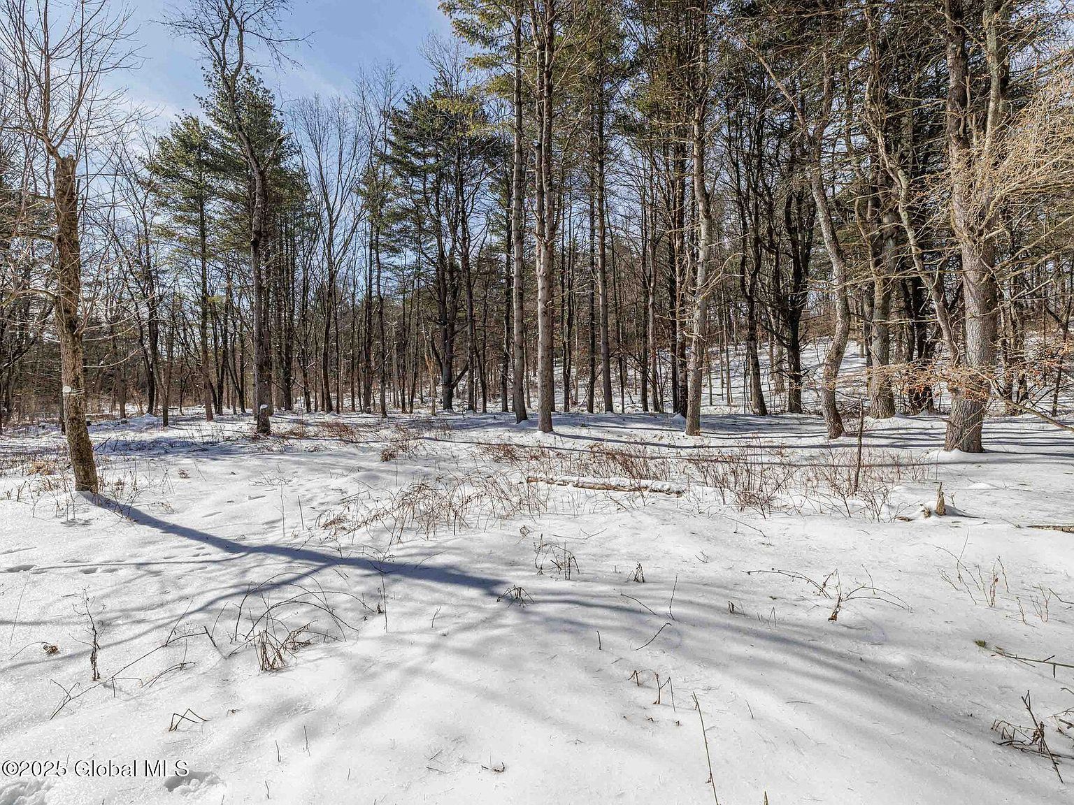 1769 Route 51 Hannacroix, NY 12087 | Single Family